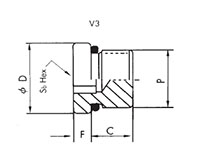 Ready M14x1.5 Thread Size P Port Plug